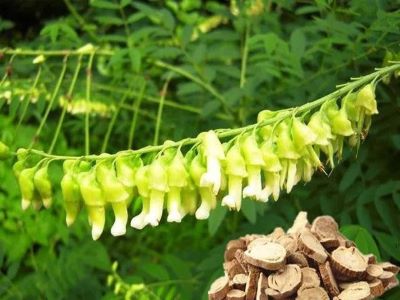 農(nóng)藥廠家怎樣快速擴(kuò)展市�?1.jpeg 農(nóng)藥廠家怎樣快速擴(kuò)展市�?1.jpeg