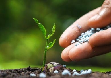 什么才是農(nóng)資廠家營銷的根�?1.jpeg 什么才是農(nóng)資廠家營銷的根�?1.jpeg