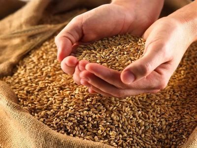 農(nóng)資廠家更應注意的問�?1.jpeg 農(nóng)資廠家更應注意的問�?1.jpeg