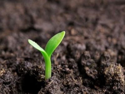 種子企業(yè)如何做好網(wǎng)絡(luò)營(yíng)銷1.jpeg 種子企業(yè)如何做好網(wǎng)絡(luò)營(yíng)銷1.jpeg