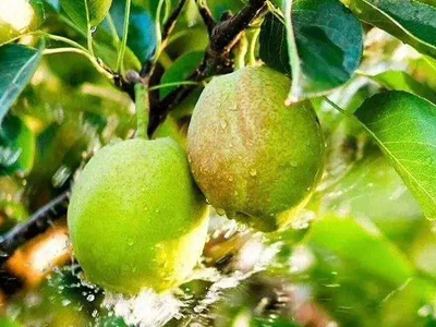 �r(n��ng)�Y�����̞�ʲô��Ը����ǰ��������  1.jpg