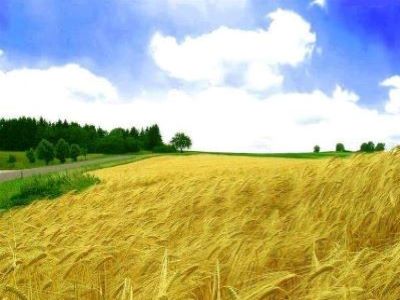 對(duì)于農(nóng)藥代理商而言怎么選擇加盟�?.jpeg 對(duì)于農(nóng)藥代理商而言怎么選擇加盟�?.jpeg