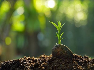 種子網(wǎng)絡營銷的幾大誤�?.jpeg 種子網(wǎng)絡營銷的幾大誤�?.jpeg