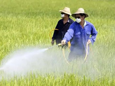 農(nóng)藥企業(yè)該如何提高自身銷é?.jpg 農(nóng)藥企業(yè)該如何提高自身銷é?.jpg