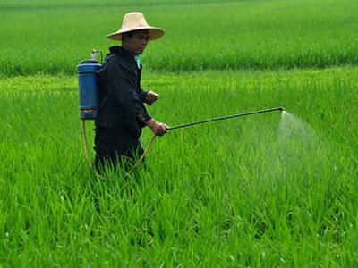 代理商要和加盟商共同發(fā)展3.jpeg 代理商要和加盟商共同發(fā)展3.jpeg