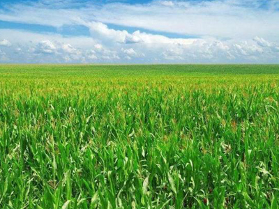 農(nóng)資企業(yè)一定要切記幾點(diǎn)9.jpg 農(nóng)資企業(yè)一定要切記幾點(diǎn)9.jpg