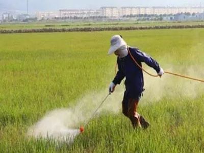 農(nóng)藥企業(yè)如何打造渠道核心競(jìng)爭(zhēng)力4.jpeg 農(nóng)藥企業(yè)如何打造渠道核心競(jìng)爭(zhēng)力4.jpeg