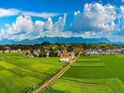 對(duì)于農(nóng)資招商企業(yè)來(lái)說(shuō)策劃重要ä¹?.jpeg 對(duì)于農(nóng)資招商企業(yè)來(lái)說(shuō)策劃重要ä¹?.jpeg