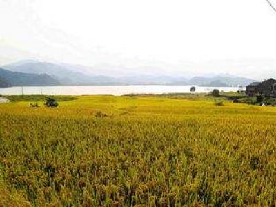 農(nóng)資代理商如何代理產(chǎn)å?.jpeg 農(nóng)資代理商如何代理產(chǎn)å?.jpeg