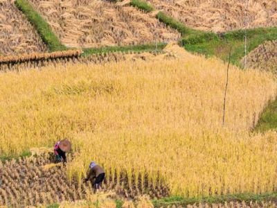 剛?cè)胄械霓r(nóng)資代理商該怎樣提升自己1.jpeg 剛?cè)胄械霓r(nóng)資代理商該怎樣提升自己1.jpeg