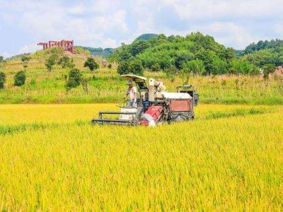 代理商如何將農(nóng)資行業(yè)管理å¥?.jpeg 代理商如何將農(nóng)資行業(yè)管理å¥?.jpeg