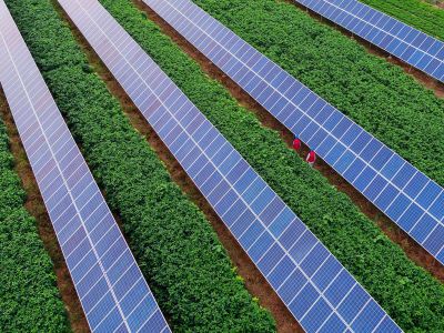 農(nóng)資加盟終端如何管理好自己的市場(chǎng)0.jpeg 農(nóng)資加盟終端如何管理好自己的市場(chǎng)0.jpeg