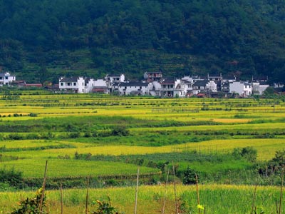 如何提升農資產(chǎn)品的銷é‡?.jpg 如何提升農資產(chǎn)品的銷é‡?.jpg