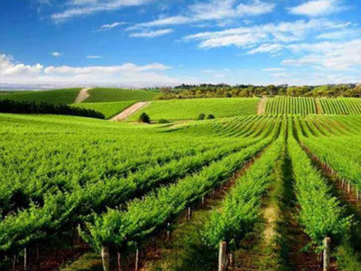 農(nóng)資代理商如何降低壓貨風é™?.jpg 農(nóng)資代理商如何降低壓貨風é™?.jpg