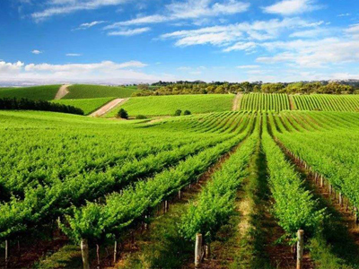 作為肥料招商企業(yè)怎樣做才能夠吸引肥料代理商的關注1.jpg 作為肥料招商企業(yè)怎樣做才能夠吸引肥料代理商的關注1.jpg