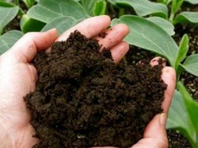 什么是肥料代理商營銷的支æ?.jpg 什么是肥料代理商營銷的支æ?.jpg