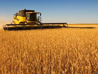 互聯(lián)網(wǎng)環(huán)境下農(nóng)資品牌要如何推�?.jpg 互聯(lián)網(wǎng)環(huán)境下農(nóng)資品牌要如何推�?.jpg