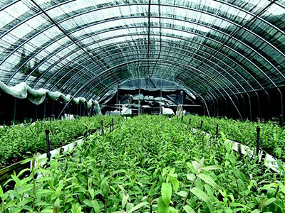 肥料代理商提高利潤的方法ï¼?.jpg 肥料代理商提高利潤的方法ï¼?.jpg