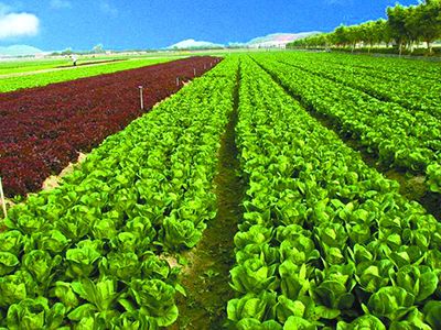 農(nóng)資企業(yè)怎么開拓代理商市場(chǎng)�?.jpg 農(nóng)資企業(yè)怎么開拓代理商市場(chǎng)�?.jpg