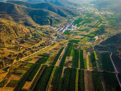 農(nóng)資代理商的今年如何排除萬(wàn)難.jpg 農(nóng)資代理商的今年如何排除萬(wàn)難.jpg