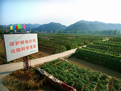 農(nóng)資招商面臨的機(jī)遇與挑戰(zhàn)1.jpg 農(nóng)資招商面臨的機(jī)遇與挑戰(zhàn)1.jpg