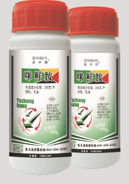 �ؑc�а�ˎ�I(y��)���F