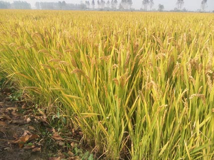 �~�����՝�(j��)�N�����޹�˾