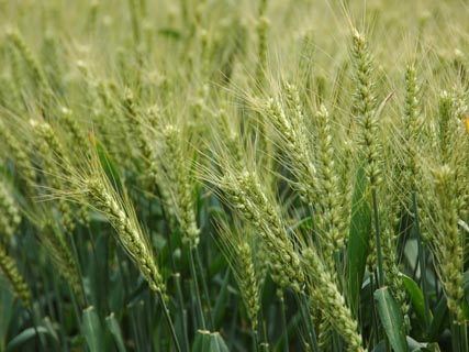 �~�����՝�(j��)�N�����޹�˾