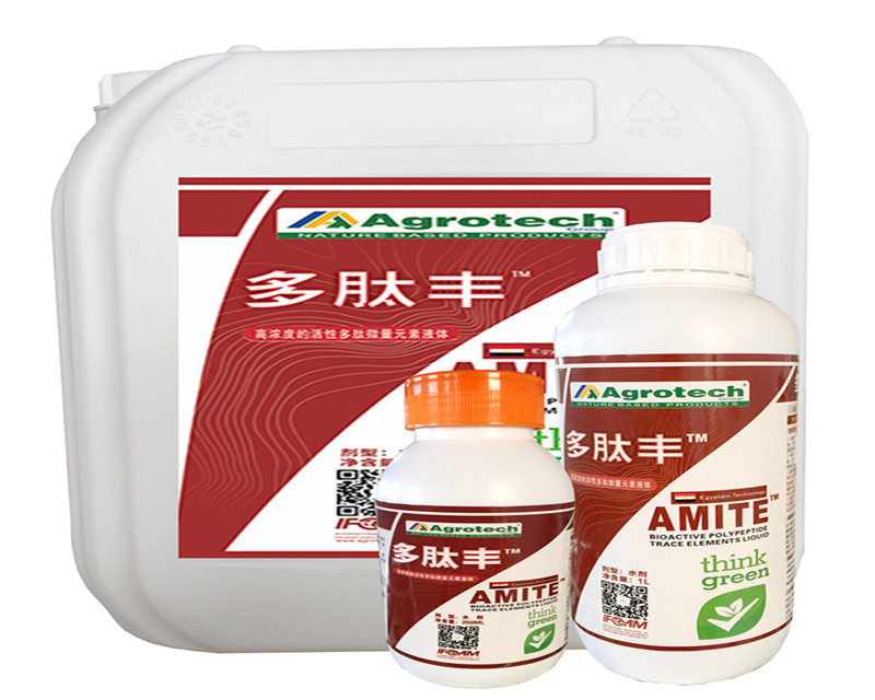 ����̩�ˣ�����������Ƽ����޹�˾