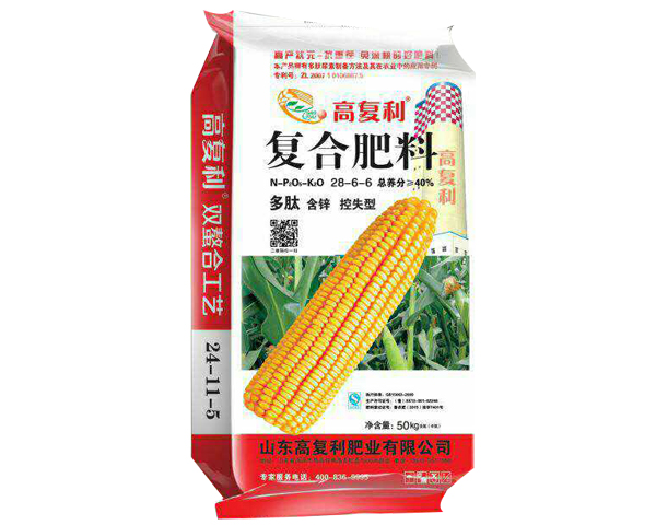 ��ʧ�͏ͺϷ���24-11-5-�ߏ���