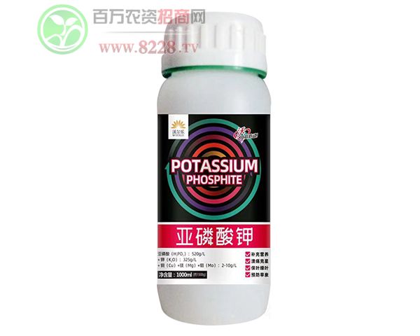 �����֠����r(n��ng)�I(y��)�Ƽ����޹�˾