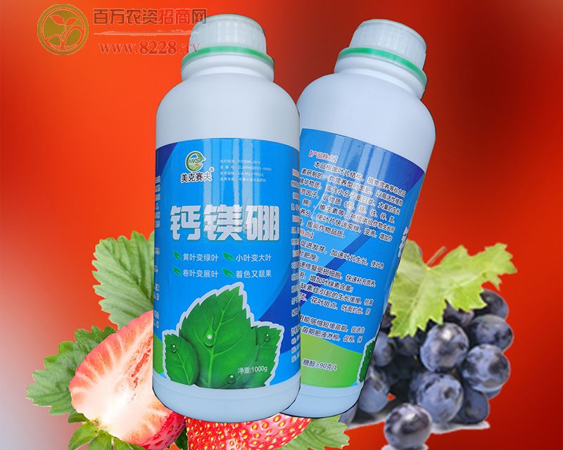 �}�V���~���-����ِ��